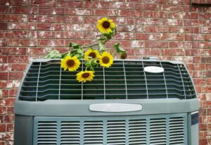 yellow-flowers-sitting-on-top-of-outdoor-air-conditioning-unit